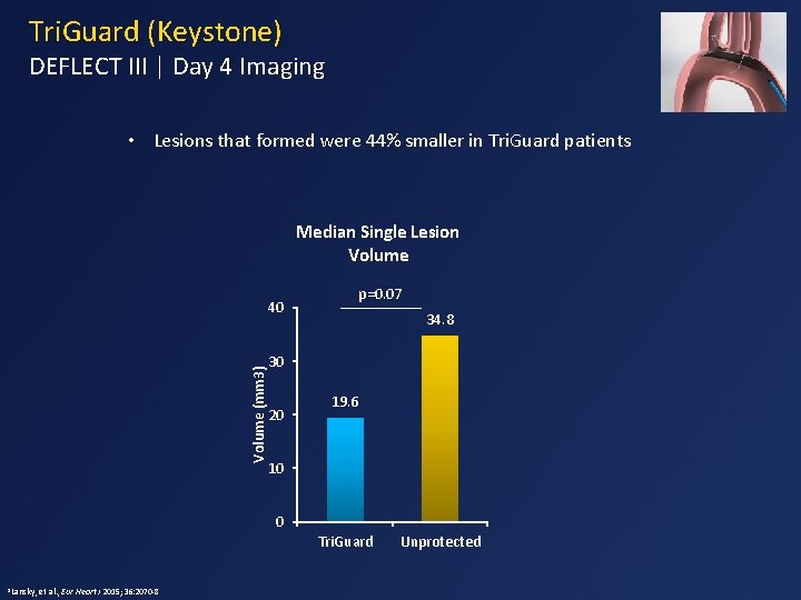 Tri. Guard (Keystone) DEFLECT III | Day 4 Imaging • Lesions that formed were