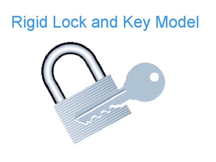 Rigid Lock and Key Model 