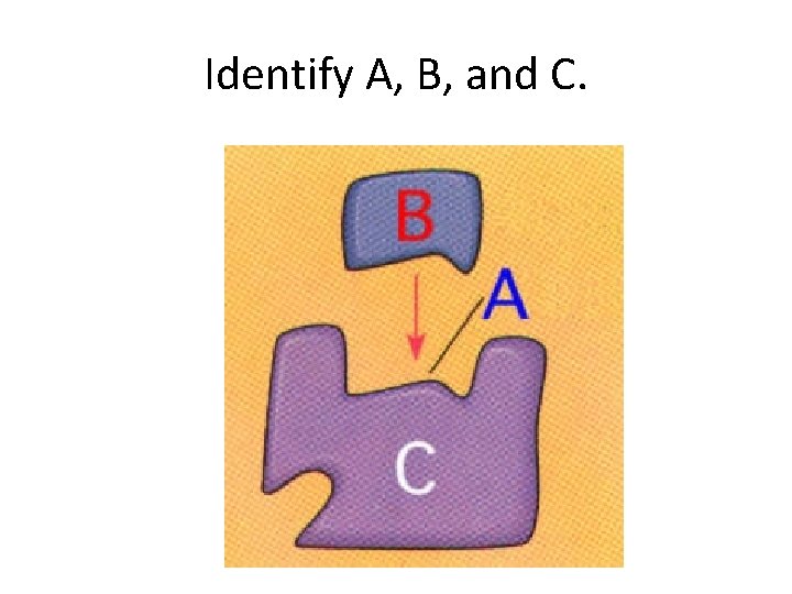 Identify A, B, and C. 