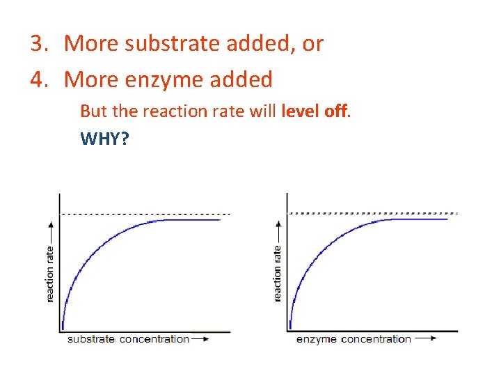 3. More substrate added, or 4. More enzyme added But the reaction rate will