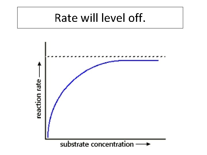 Rate will level off. 