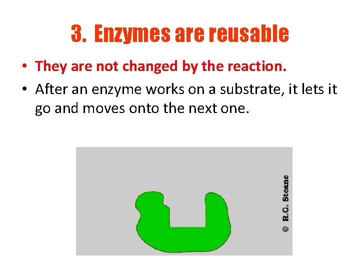 3. Enzymes are reusable • They are not changed by the reaction. • After