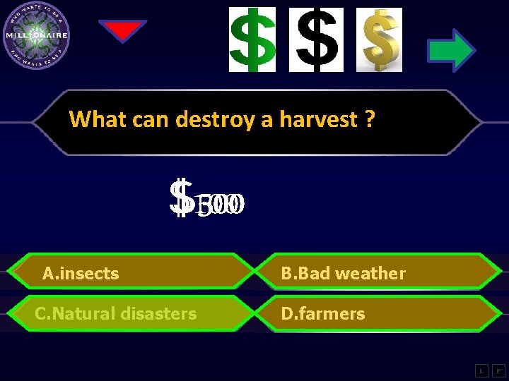 What can destroy a harvest ? $100 $300 $500 A. insects C. Natural disasters