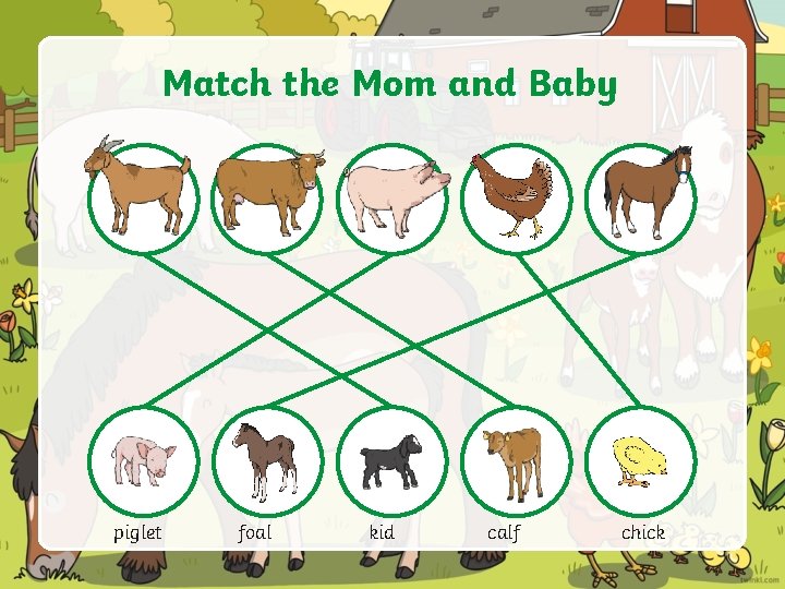 Match the Mom and Baby piglet foal kid calf chick 