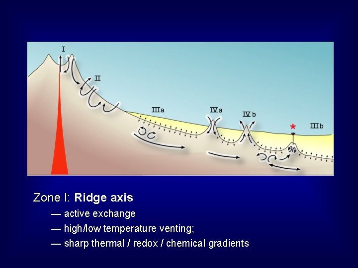 Emerging Views of Sediment Buried Ocean Basement Biosphere