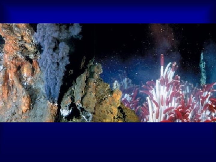 Emerging Views of Sediment Buried Ocean Basement Biosphere