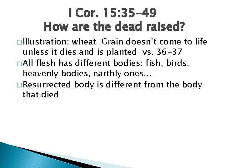 I Cor. 15: 35 -49 How are the dead raised? � Illustration: wheat Grain