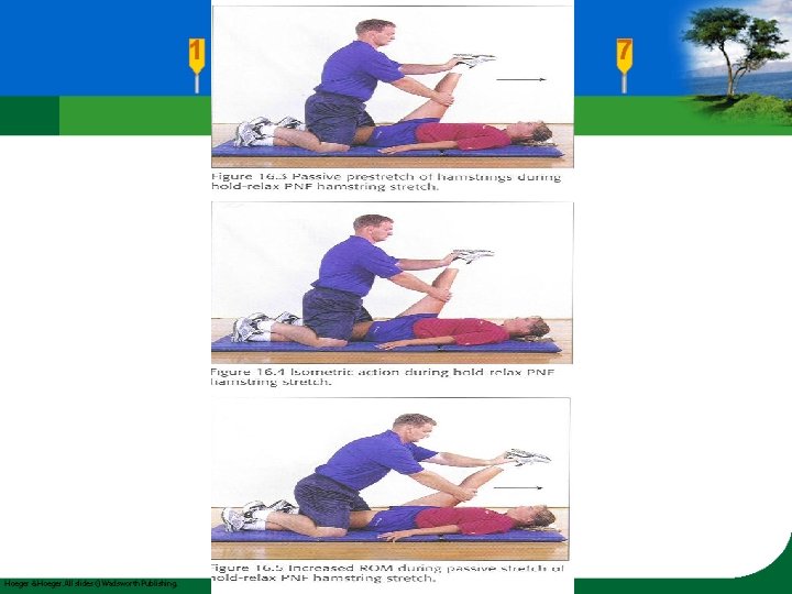 CHAPTER OUTLINE Benefits of Good Flexibility Factors Affecting