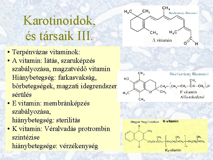 Karotinoidok, és társaik III. • Terpénvázas vitaminok: • A vitamin: látás, szaruképzés szabályozása, magzatvédő