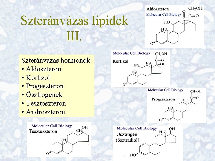 Szteránvázas lipidek III. Szteránvázas hormonok: • Aldoszteron • Kortizol • Progeszteron • Ösztrogének •