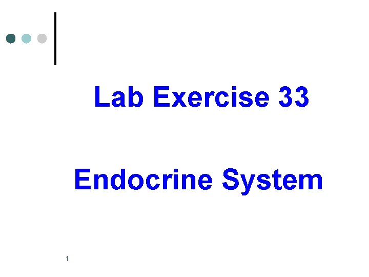 Lab Exercise 33 Endocrine System 1 