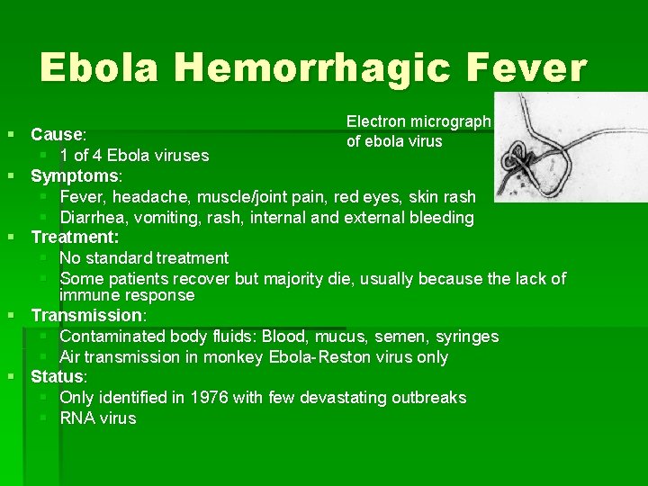Ebola Hemorrhagic Fever Electron micrograph of ebola virus § Cause: § 1 of 4