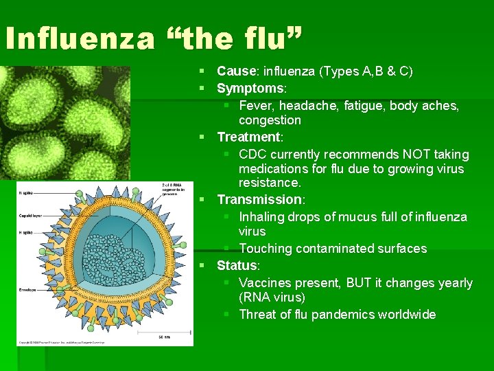Influenza “the flu” § Cause: influenza (Types A, B & C) § Symptoms: §