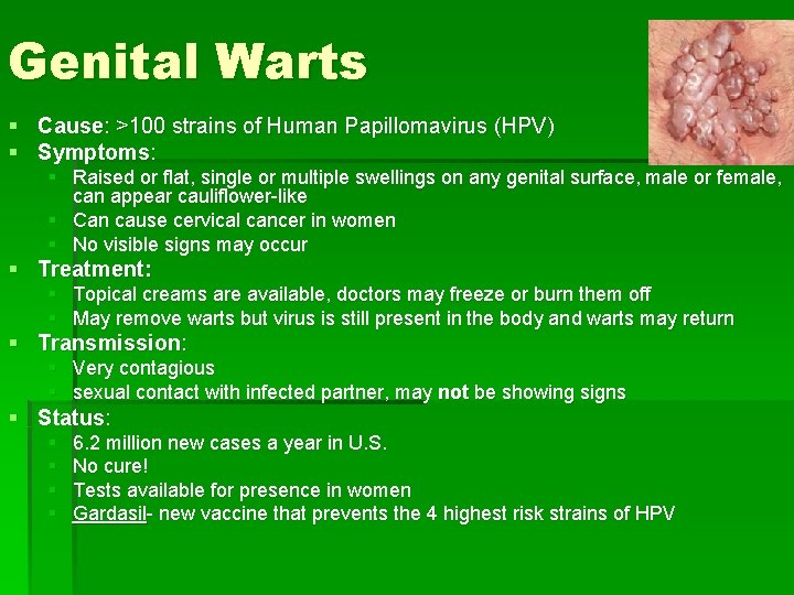 Genital Warts § Cause: >100 strains of Human Papillomavirus (HPV) § Symptoms: § Raised