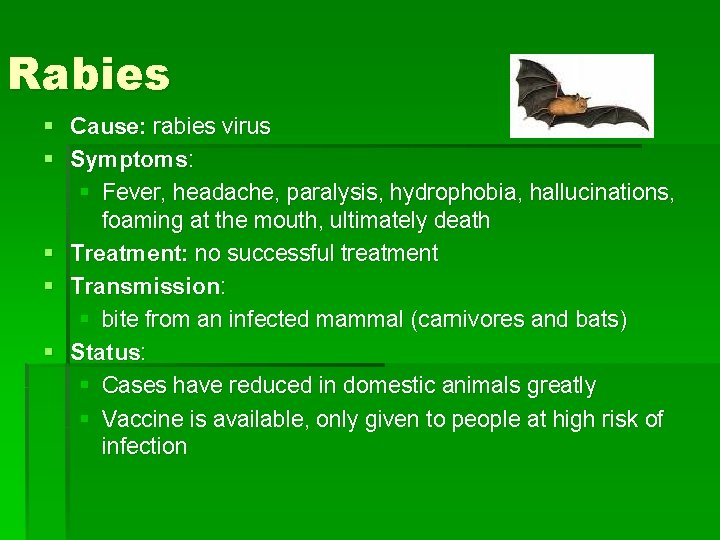 Rabies § Cause: rabies virus § Symptoms: § Fever, headache, paralysis, hydrophobia, hallucinations, foaming