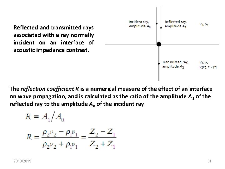 Reflected and transmitted rays associated with a ray normally incident on an interface of