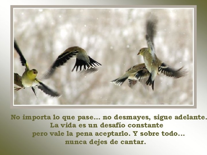 No importa lo que pase. . . no desmayes, sigue adelante. La vida es