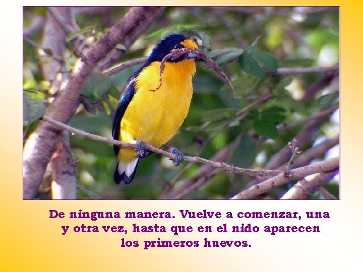 De ninguna manera. Vuelve a comenzar, una y otra vez, hasta que en el