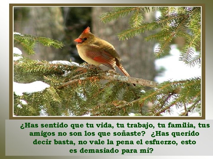 ¿Has sentido que tu vida, tu trabajo, tu familia, tus amigos no son los