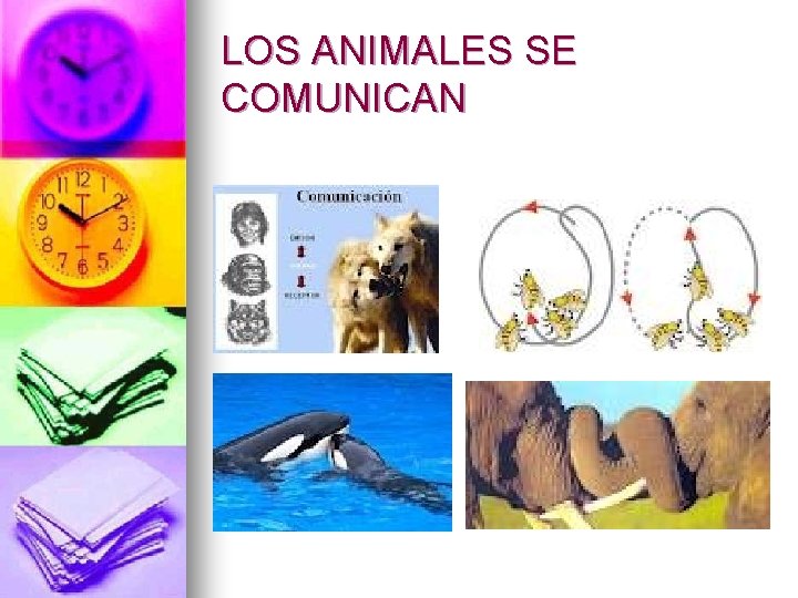 LOS ANIMALES SE COMUNICAN 