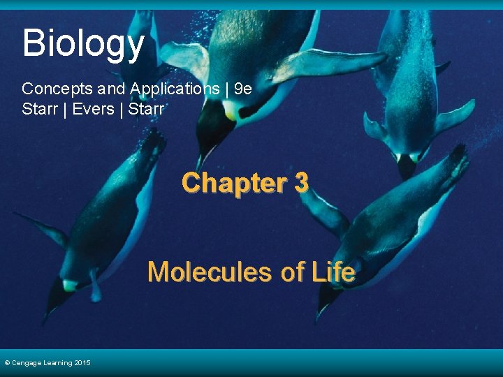 Biology Concepts and Applications | 9 e Starr | Evers | Starr Chapter 3