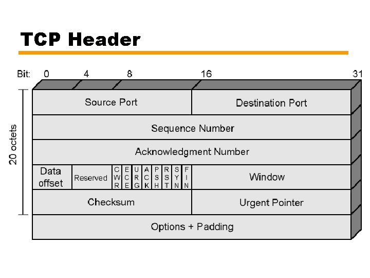 TCP Header 