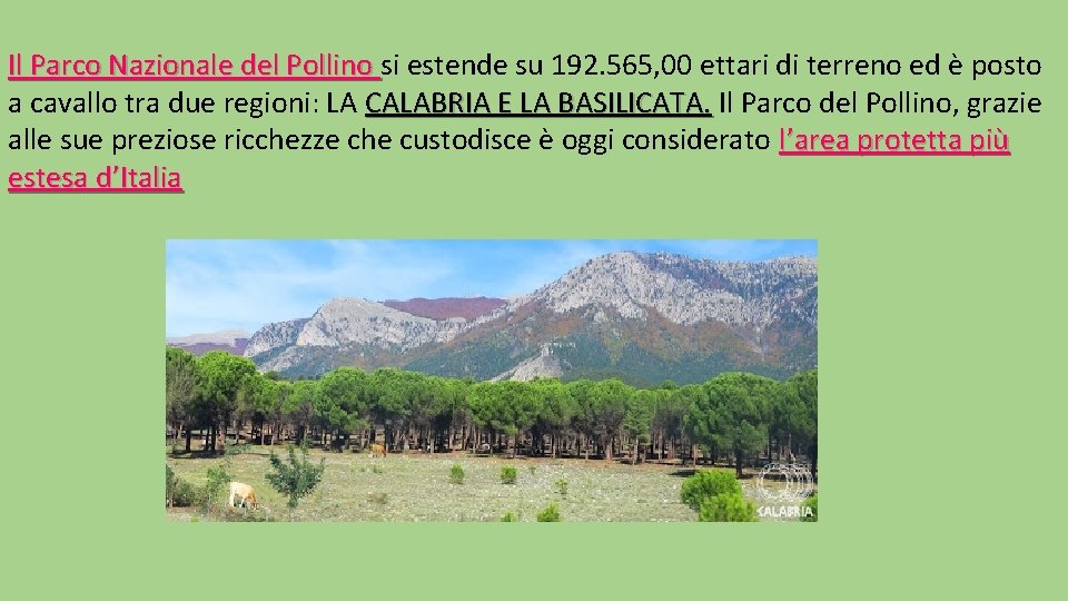 Il Parco Nazionale del Pollino si estende su 192. 565, 00 ettari di terreno
