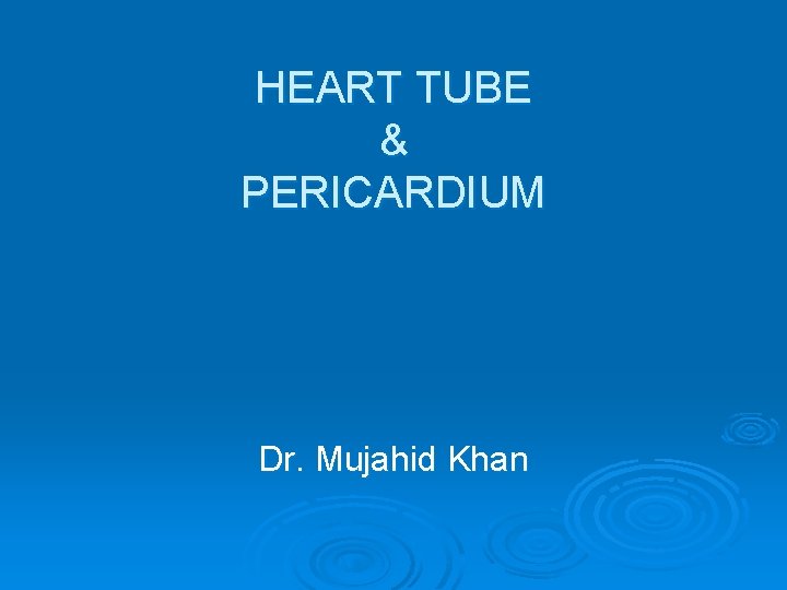 HEART TUBE & PERICARDIUM Dr. Mujahid Khan 