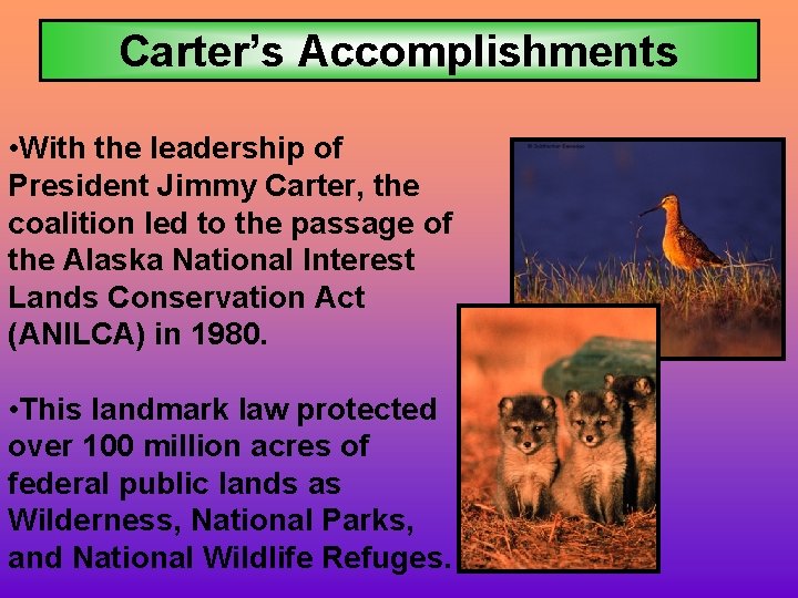 Carter’s Accomplishments • With the leadership of President Jimmy Carter, the coalition led to