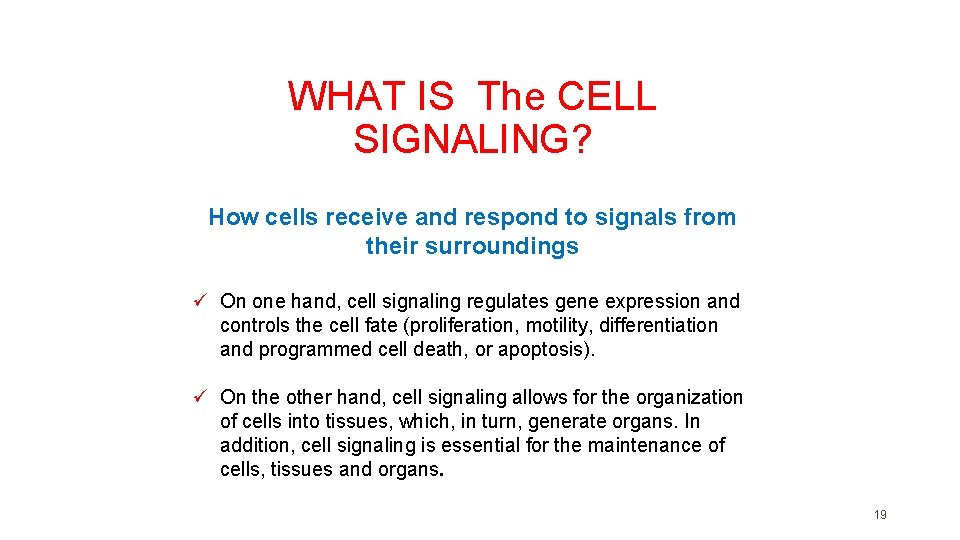 WHAT IS The CELL SIGNALING? How cells receive and respond to signals from their WHAT IS The CELL SIGNALING? How cells receive and respond to signals from their