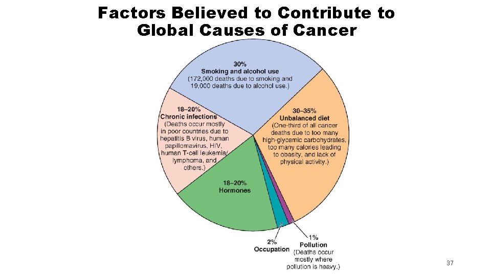 Factors Believed to Contribute to Global Causes of Cancer 37 Factors Believed to Contribute to Global Causes of Cancer 37