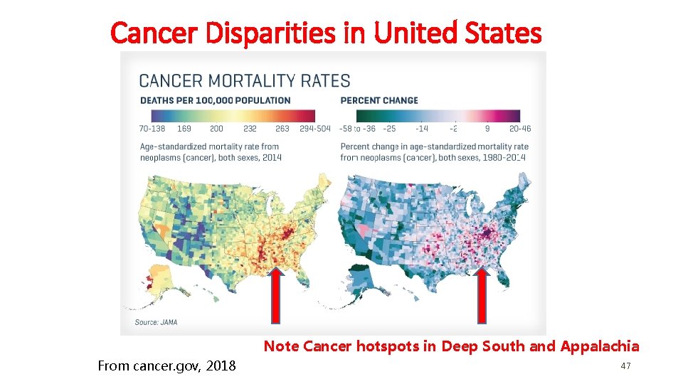 Cancer Disparities in United States Note Cancer hotspots in Deep South and Appalachia From Cancer Disparities in United States Note Cancer hotspots in Deep South and Appalachia From