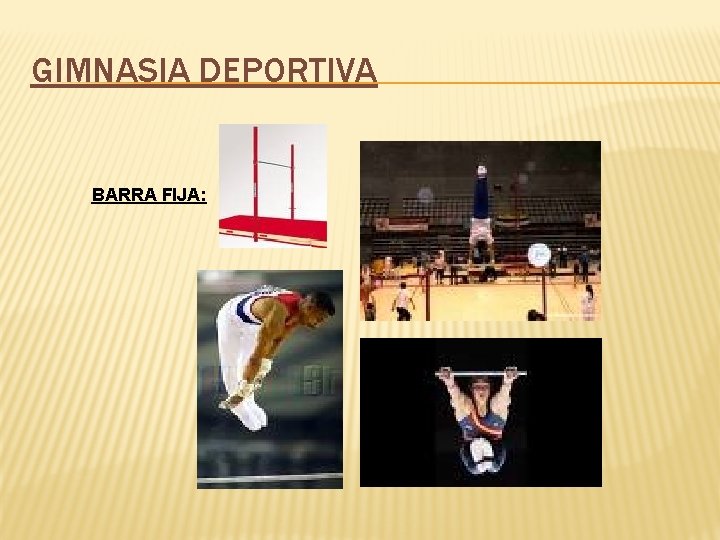 GIMNASIA DEPORTIVA BARRA FIJA: 