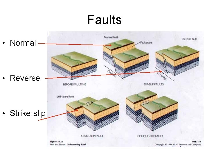 Faults • Normal • Reverse • Strike-slip 