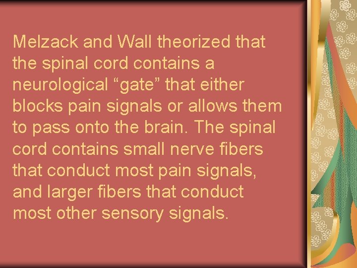 Melzack and Wall theorized that the spinal cord contains a neurological “gate” that either