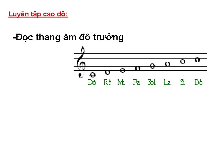 Luyện tập cao độ: -Đọc thang âm đô trưởng 