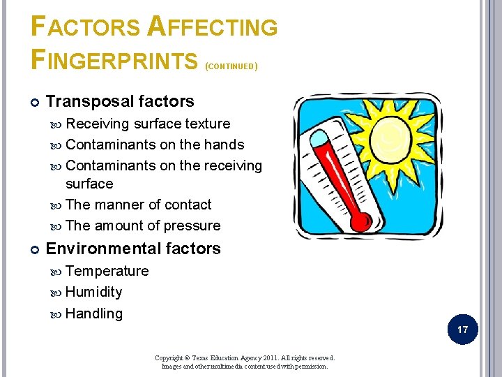 FACTORS AFFECTING FINGERPRINTS (CONTINUED) Transposal factors Receiving surface texture Contaminants on the hands Contaminants