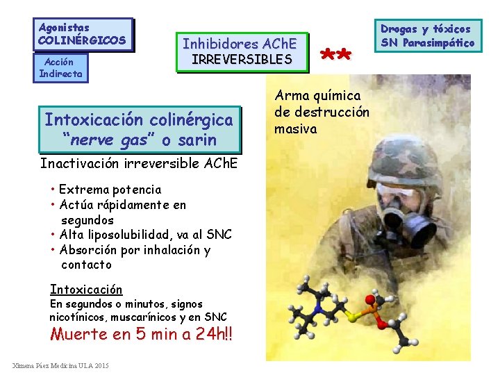 Agonistas COLINÉRGICOS Acción Indirecta Inhibidores ACh. E IRREVERSIBLES Intoxicación colinérgica “nerve gas” o sarin