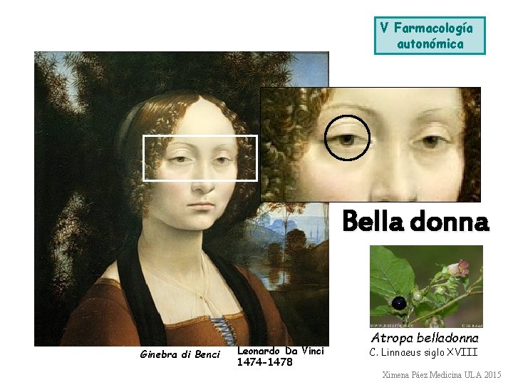 V Farmacología autonómica Bella donna Ginebra di Benci Leonardo Da Vinci 1474 -1478 Atropa