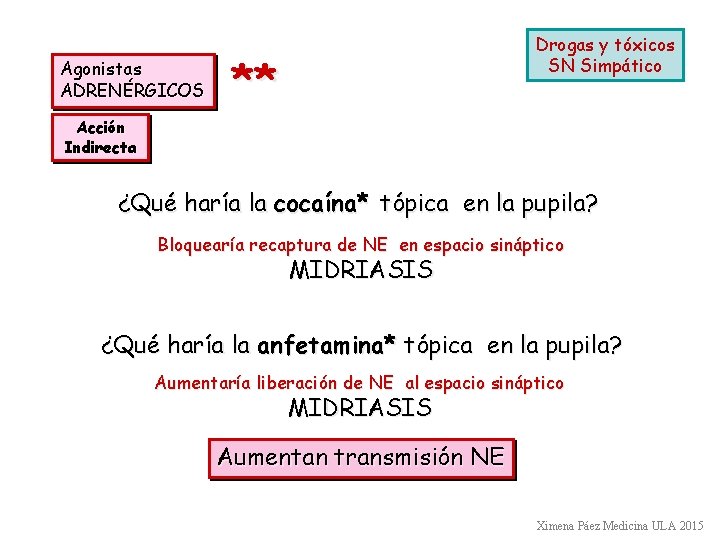 Agonistas ADRENÉRGICOS Drogas y tóxicos SN Simpático ** Acción Indirecta ¿Qué haría la cocaína*