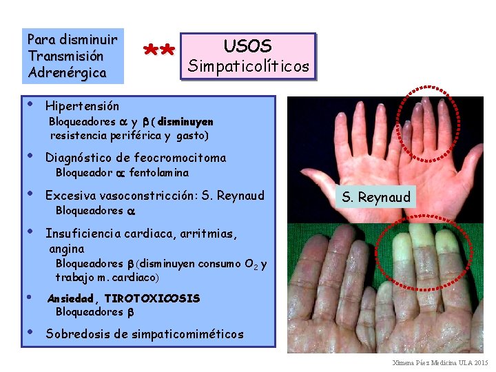 Para disminuir Transmisión Adrenérgica ** USOS Simpaticolíticos • Hipertensión • Diagnóstico de feocromocitoma •