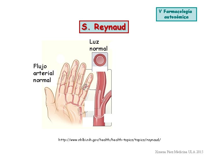 V Farmacología autonómica S. Reynaud Luz normal Luz cerrada Flujo arterial normal Vasoconstricción http: