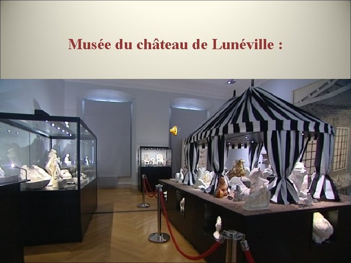 Musée du château de Lunéville : 