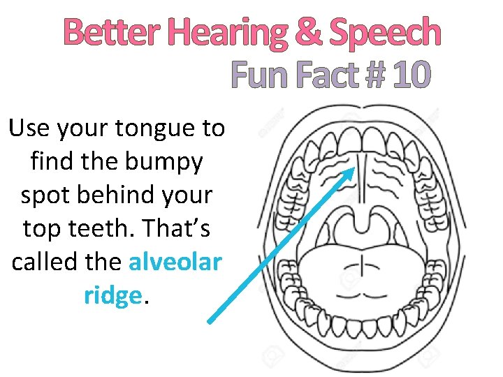 Better Hearing & Speech Fun Fact # 10 Use your tongue to find the