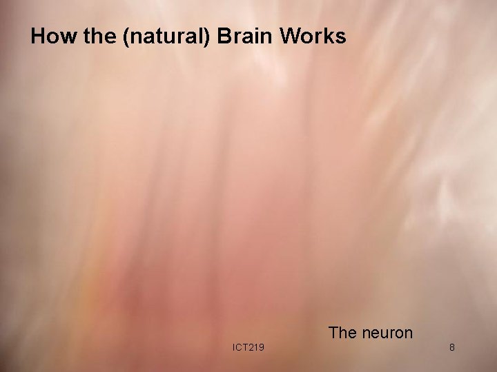 How the (natural) Brain Works The neuron ICT 219 8 