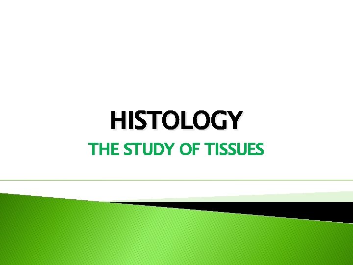 HISTOLOGY THE STUDY OF TISSUES 