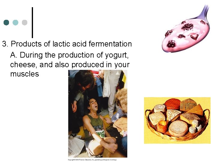 3. Products of lactic acid fermentation A. During the production of yogurt, cheese, and