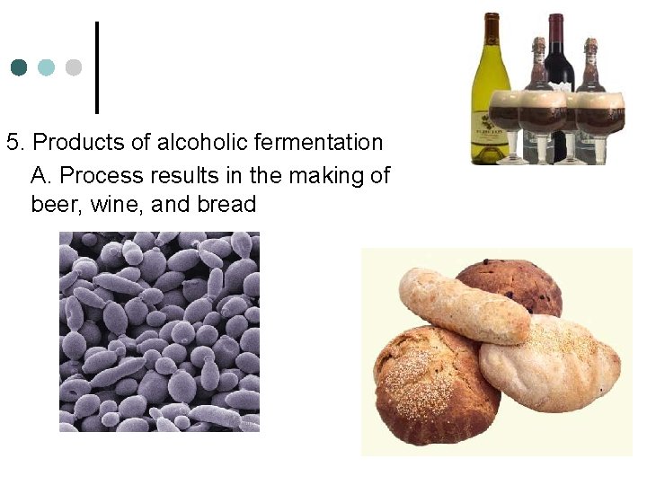 5. Products of alcoholic fermentation A. Process results in the making of beer, wine,