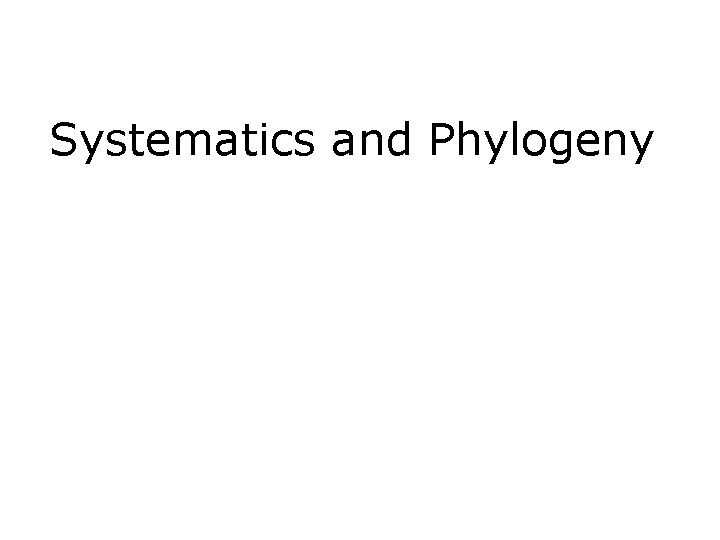 Systematics and Phylogeny 