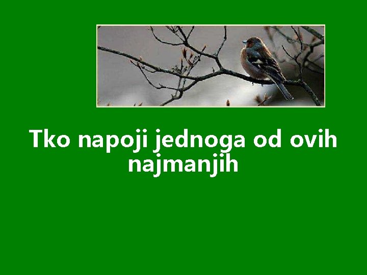 Tko napoji jednoga od ovih najmanjih 